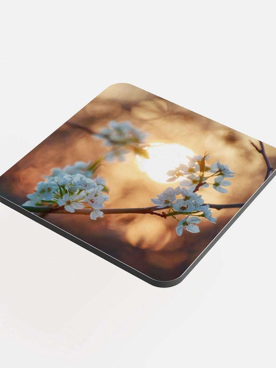 Blossoms Coaster product image (5)