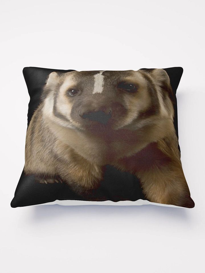 cuddle with a real badger product image (1)