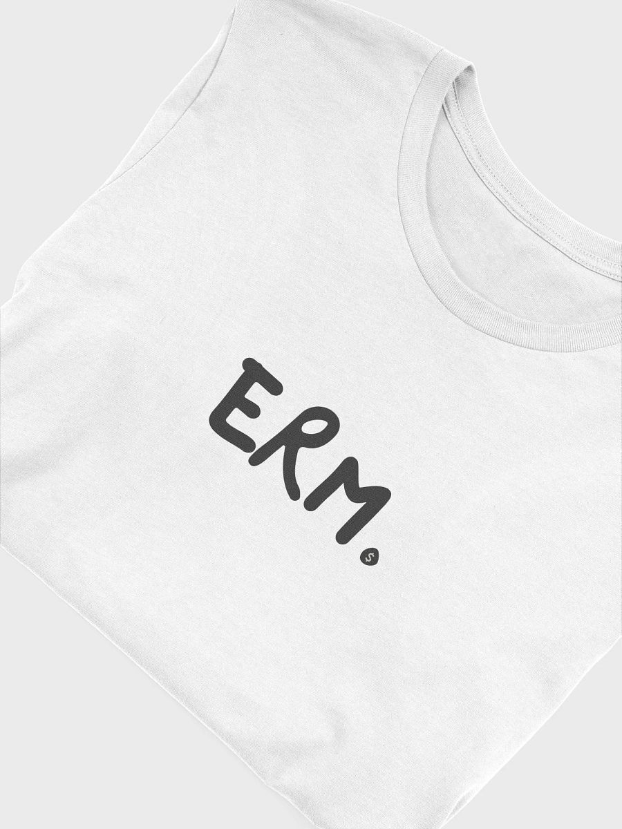 ERM. product image (6)