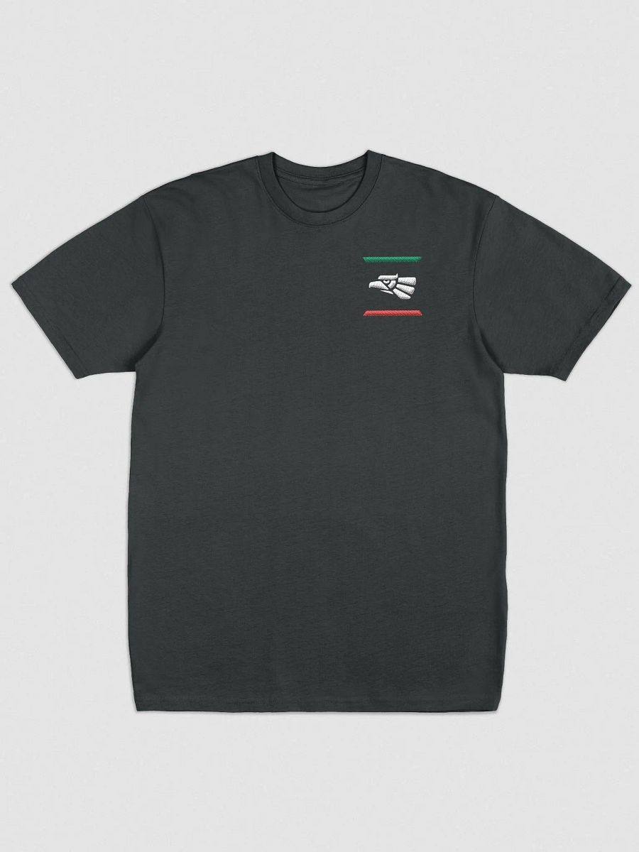 En México Embroidered T-Shirt product image (1)
