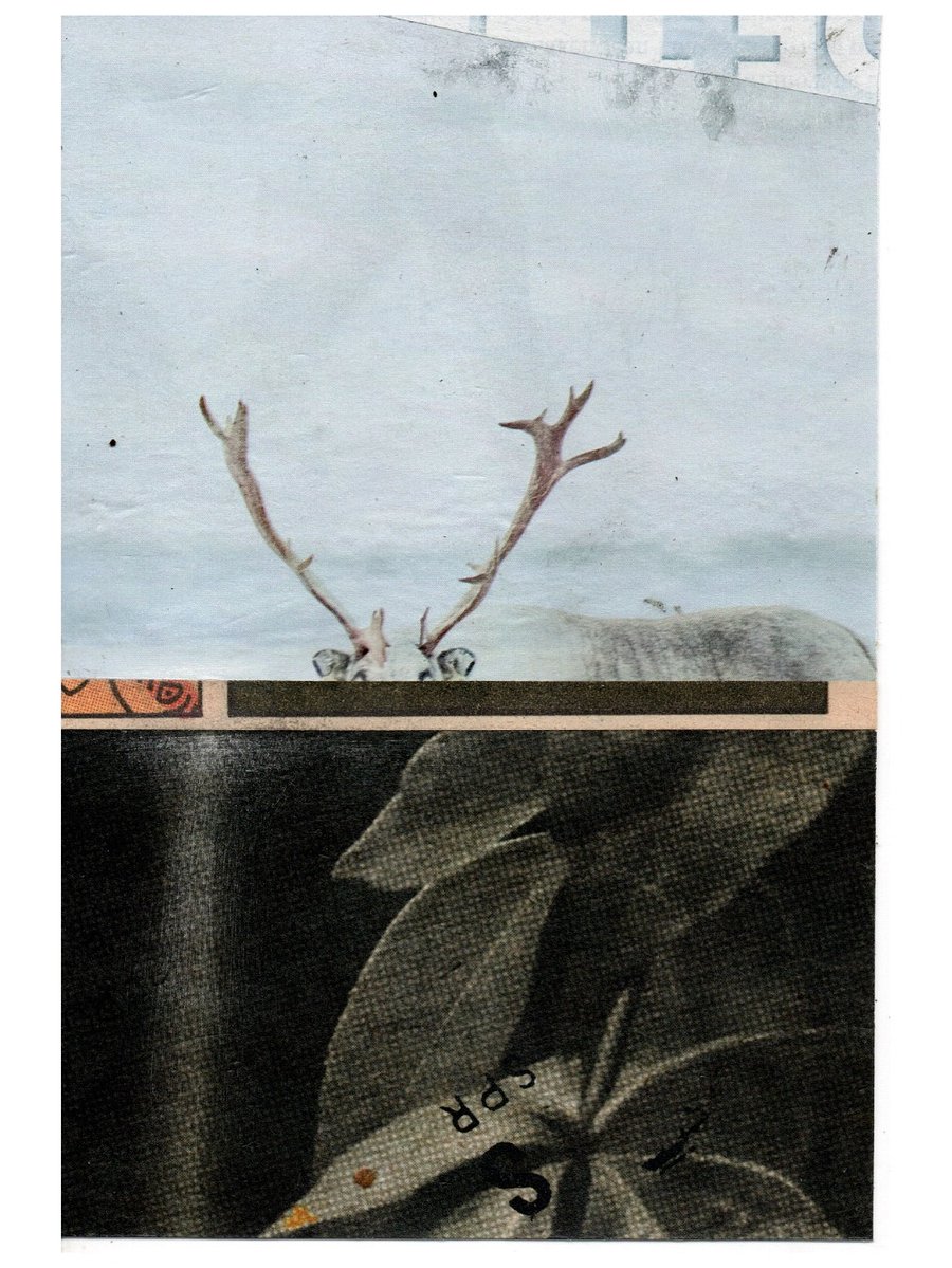 a concomitant of the process product image (1)