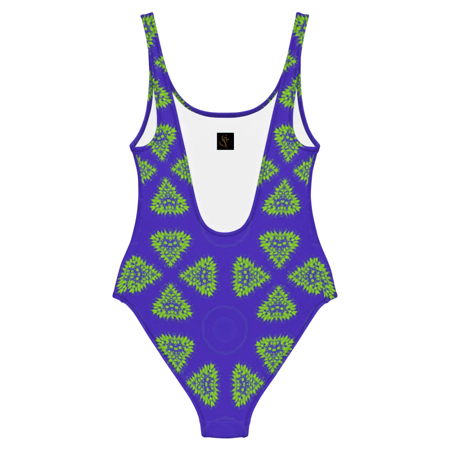 Shape Spectrum Swimsuit product image (2)