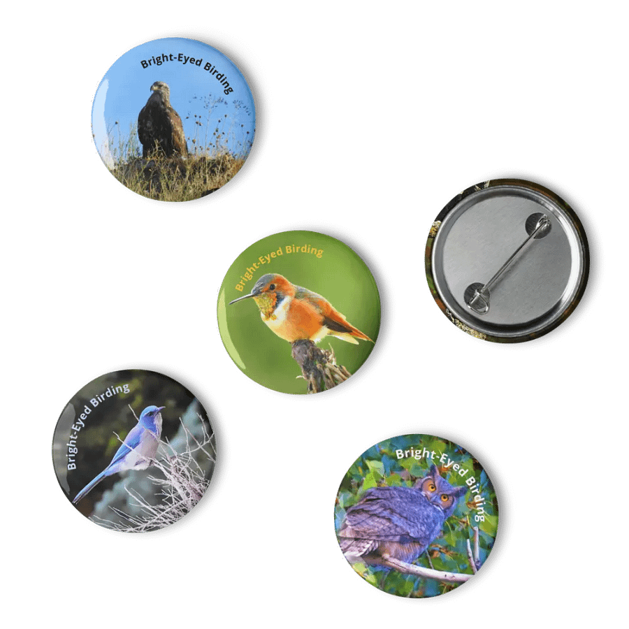 Bright-Eyed Birding Buttons (2023) product image (4)