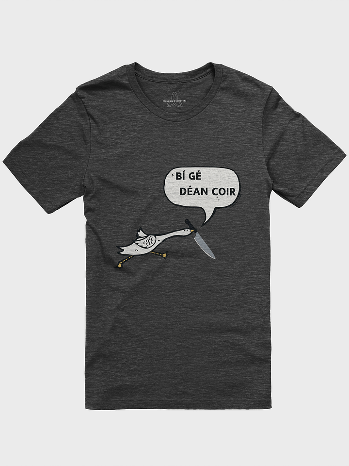 Bí Gé Déan Coir T-shirt product image (1)