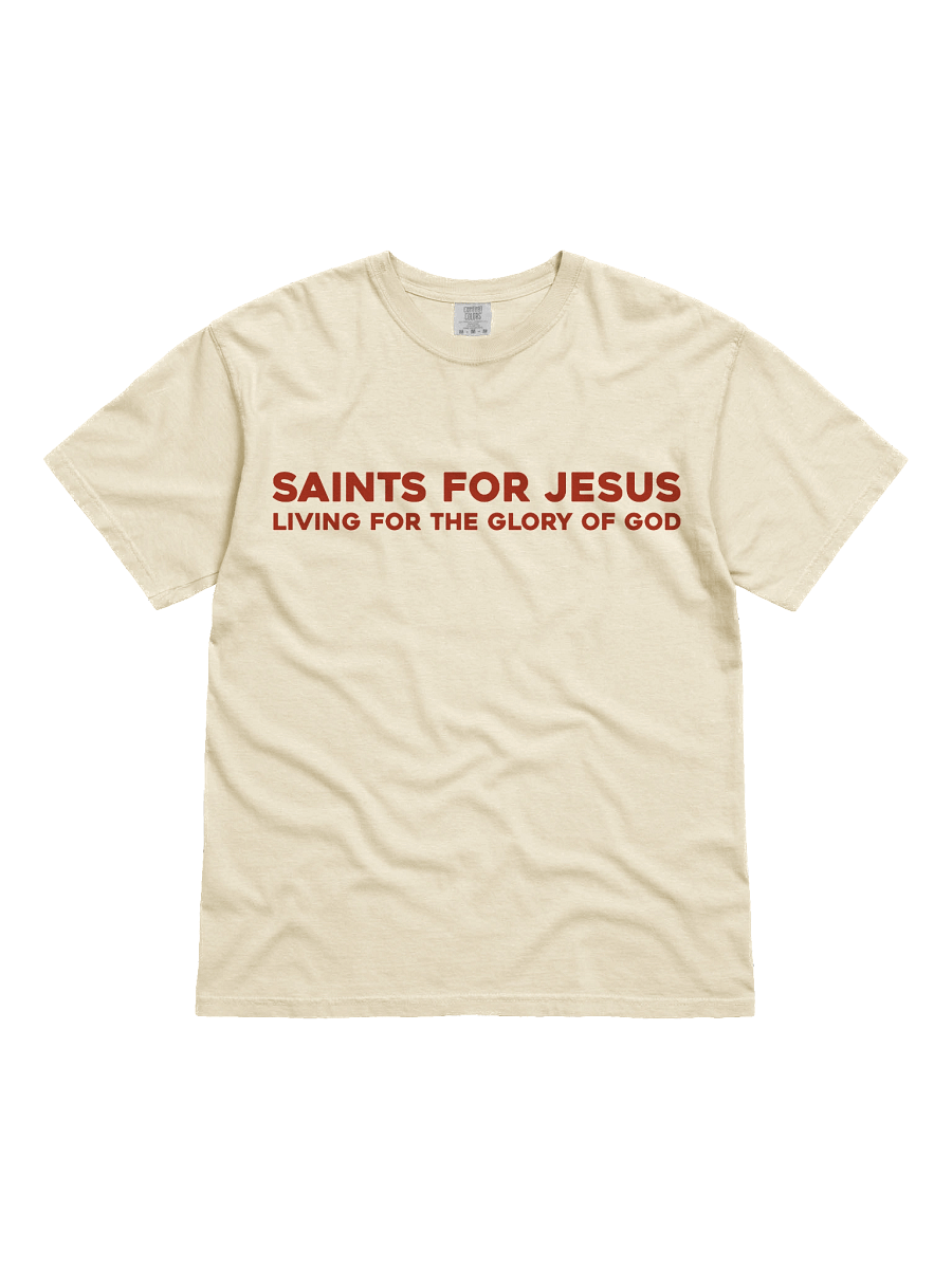 Fruit of the Spirit T-Shirt product image (6)