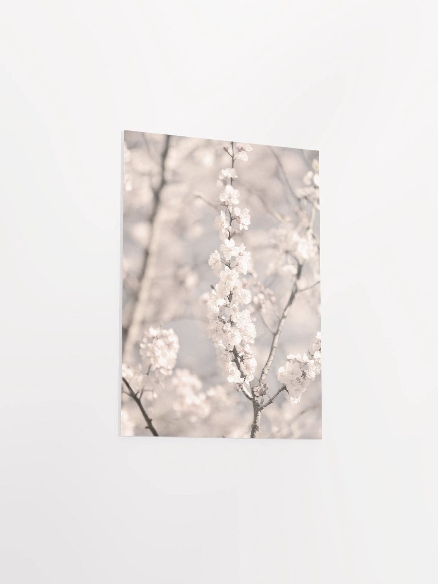 Sakura - Enhanced Matte Paper Poster product image (10)