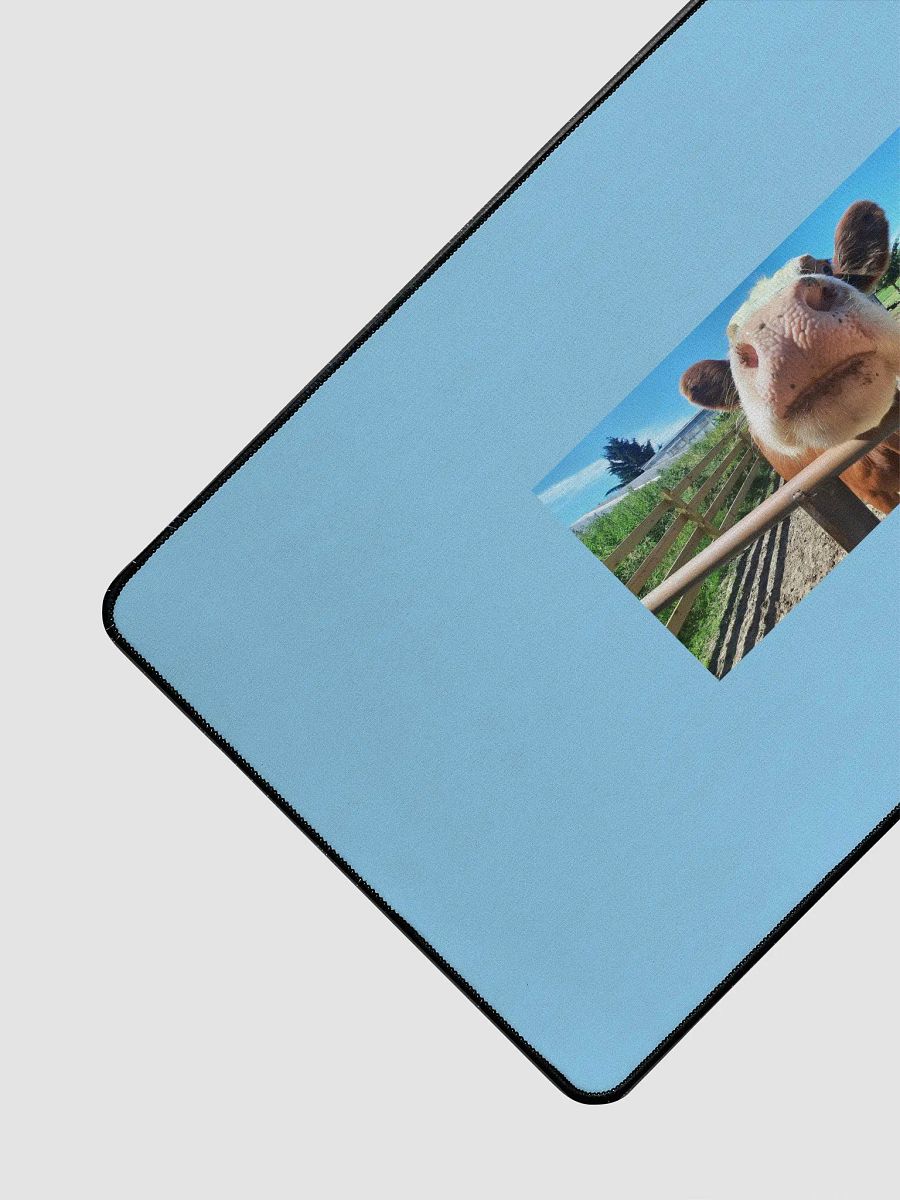 Nosey Computer Mat product image (3)