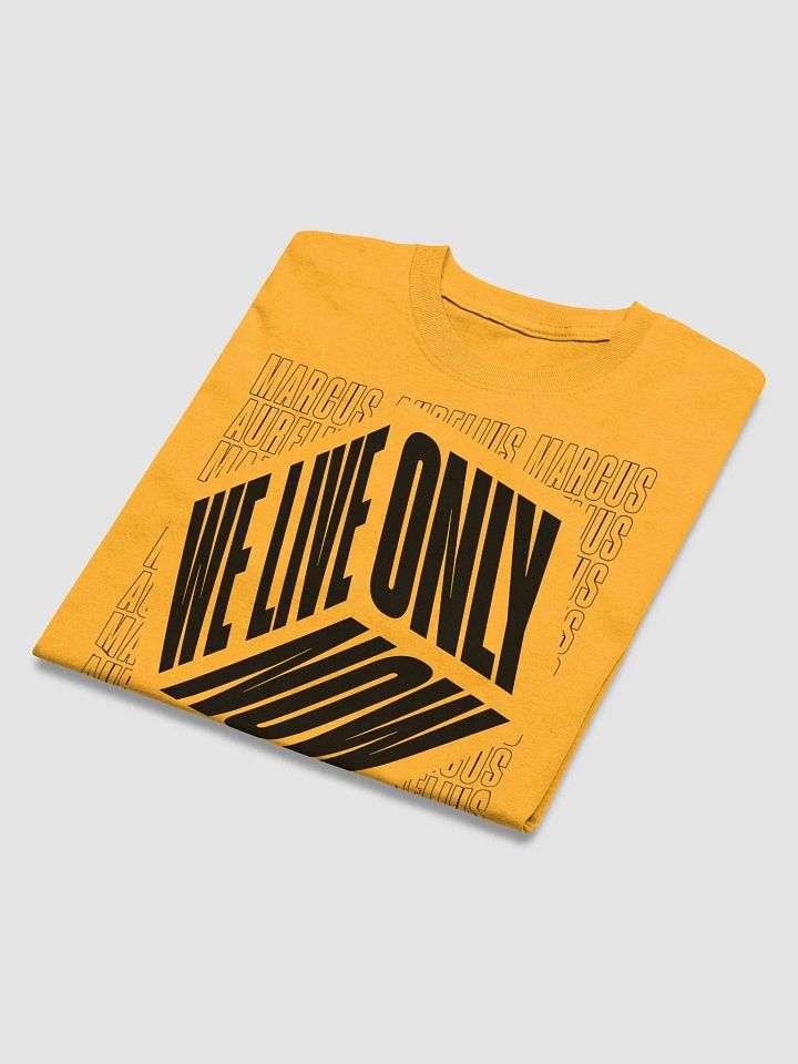 We Only Live Now Stoic Tshirt product image (2)