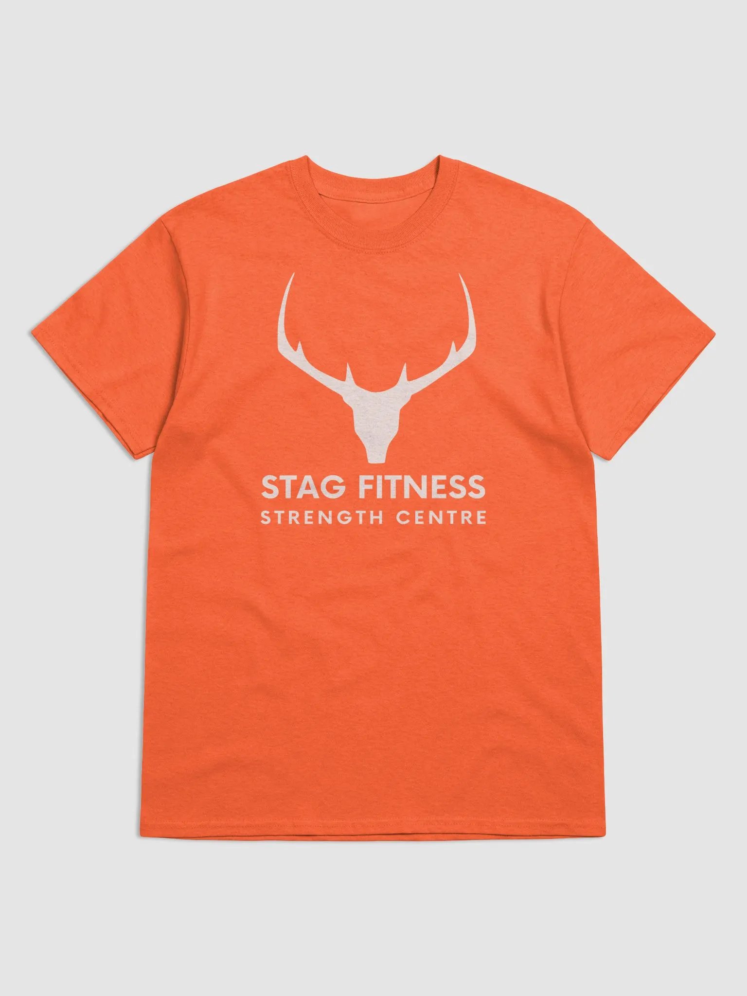 Gildan Heavyweight T-Shirt - Large Logo product image (1)
