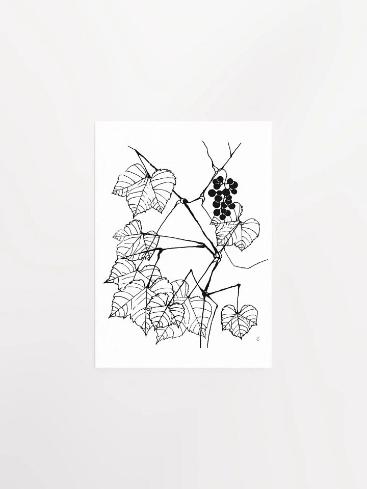 Enchanting Botanical Illustration Poster - Fine Grape Leaves product image (1)
