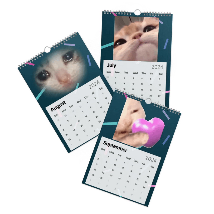 Wall Calendar (2024): Meme Cats product image (11)