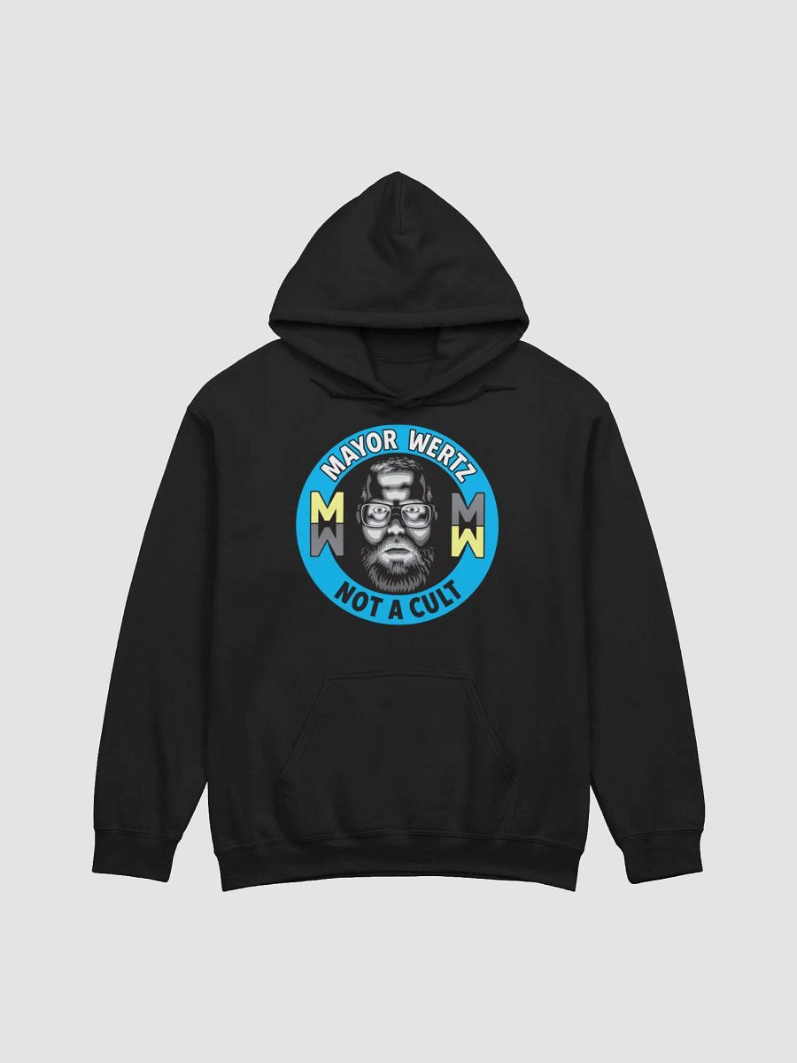 Not a Cult Hoodie product image (6)