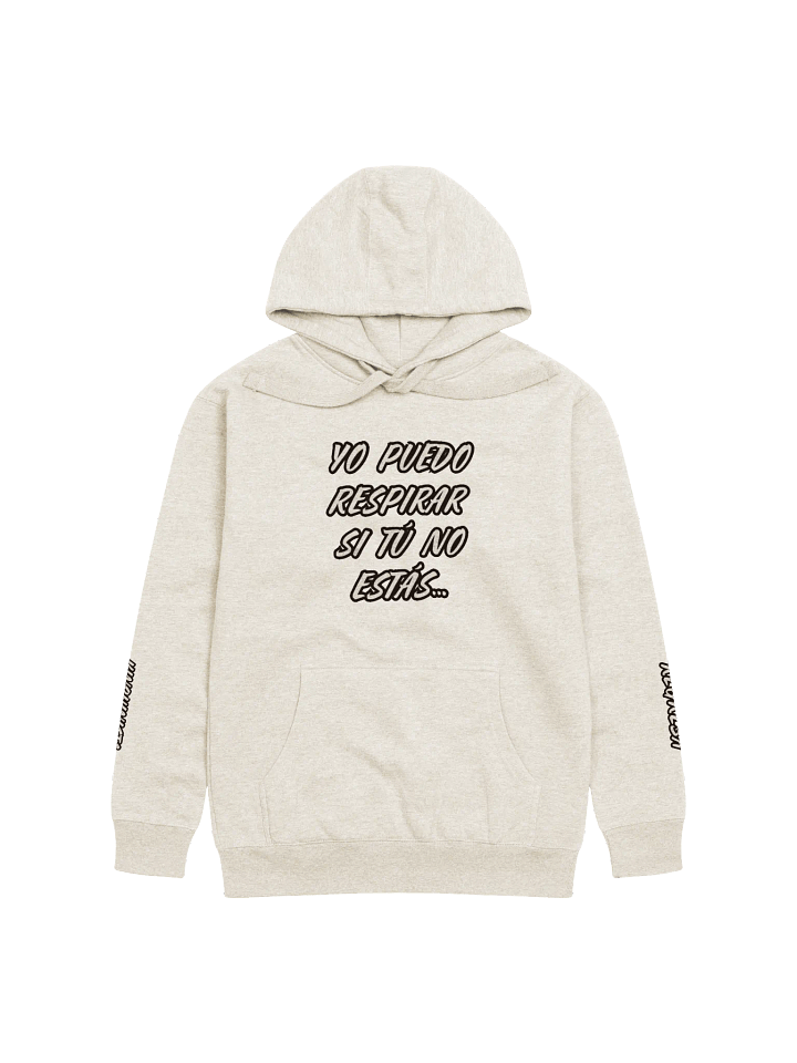 Regresa - Unisex Premium Hoodie product image (2)