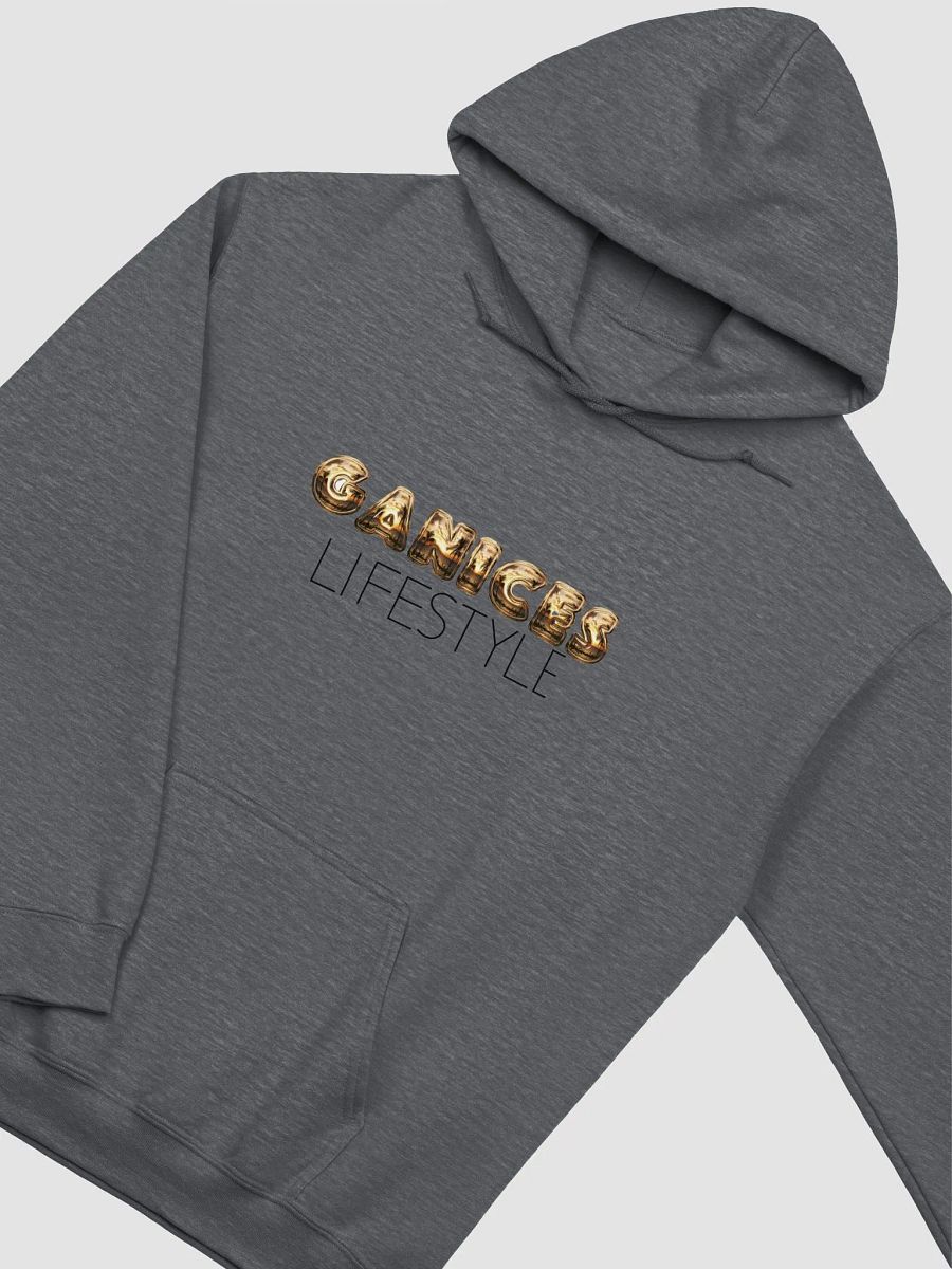 Ganice's Lifestyle: Icon Hoodie product image (17)