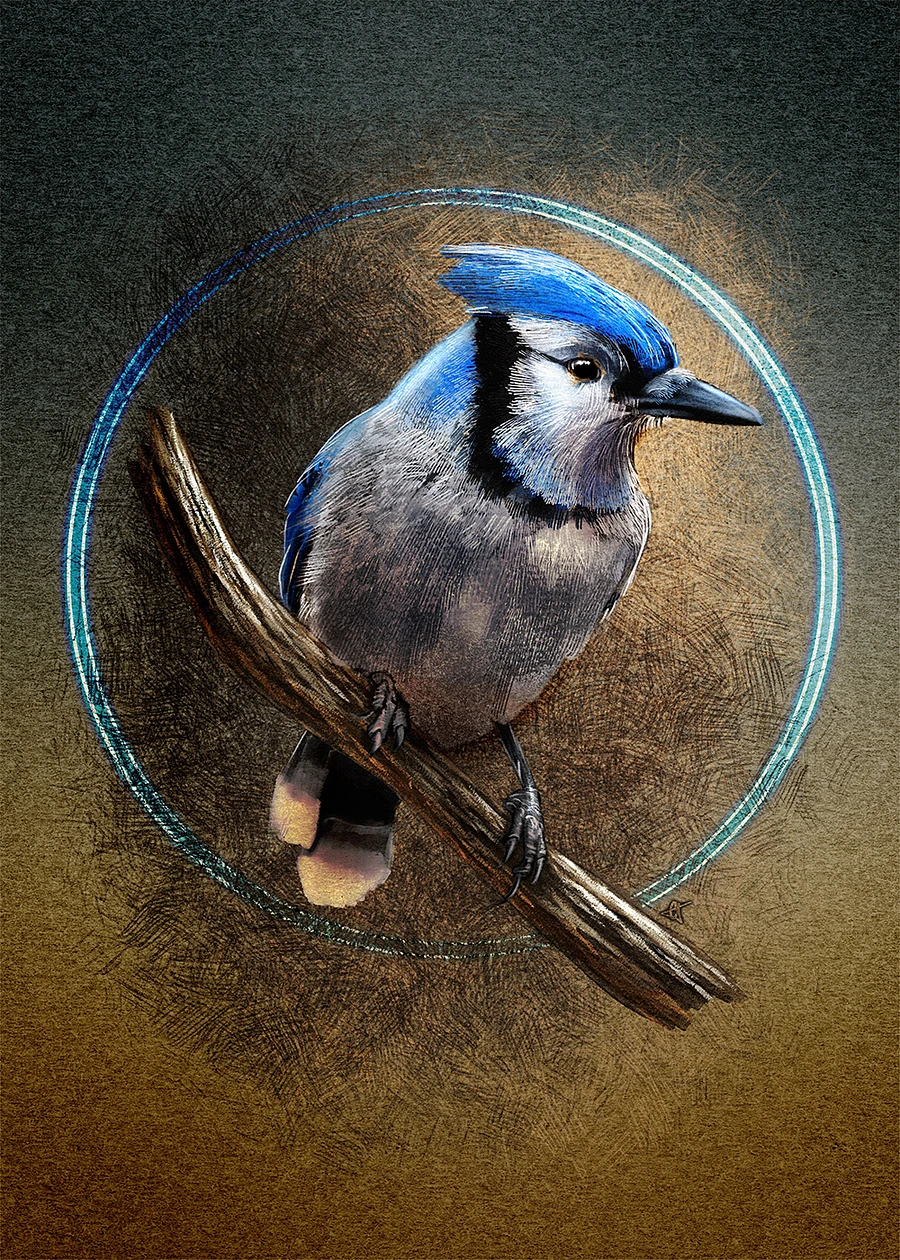 Blue Jay Poster Print product image (34)