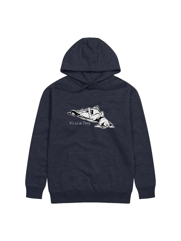 It's a Lab Thing - Cotton Hoodie product image (17)