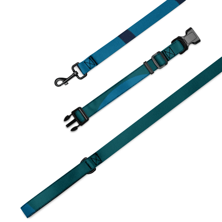Mystic Blur Pet Collar & Leash Set product image (4)
