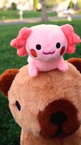number 2 is wild ☠️

Capybara & Axolotl plushie avaliable at @eveoart 

I'm going to be posting a lot about the plushie this ...