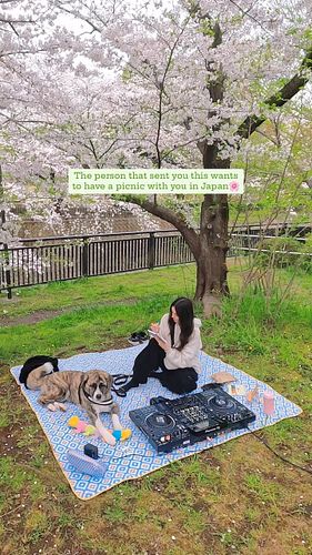We share dog friendly areas in Japan!🐶
📍Soshigaya Park in Setagaya City, Tokyo🌸

Follow us on our journey for a more pet frie...