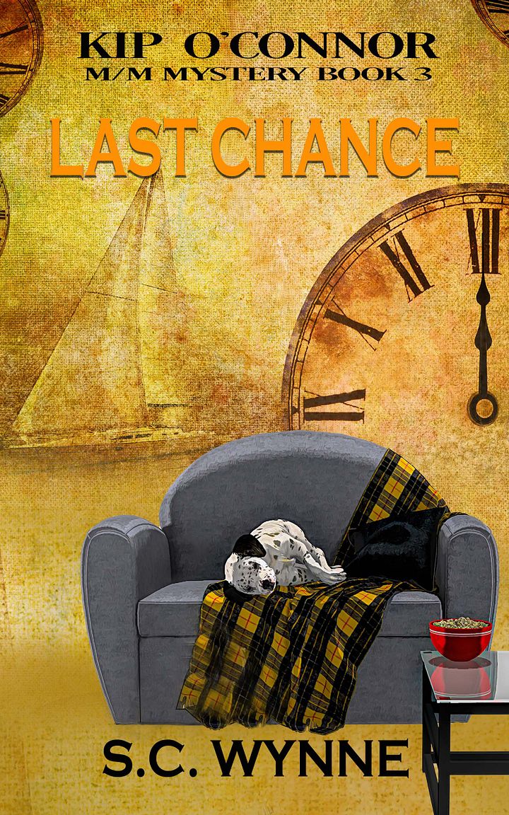 Last Chance (Kip O'Connor M/M Mystery Book 3 product image (1)