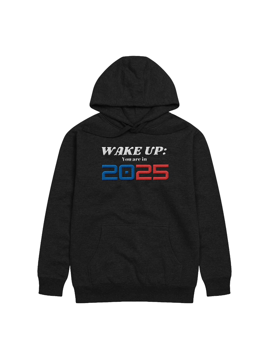 Wake Up: You Are In 2025 Embroidered Design To Cheers New Year Unisex Hoodie product image (5)