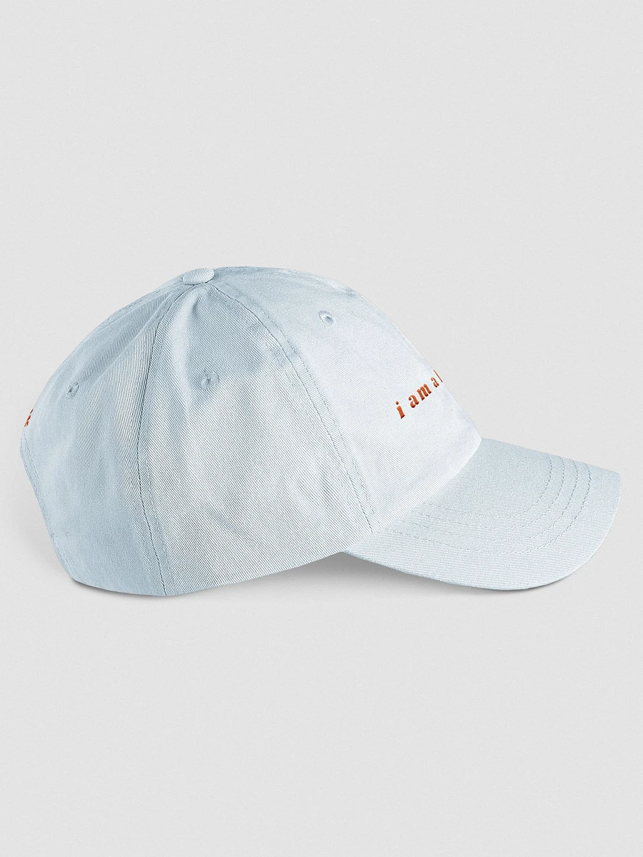 Liability Dad Hat product image (4)