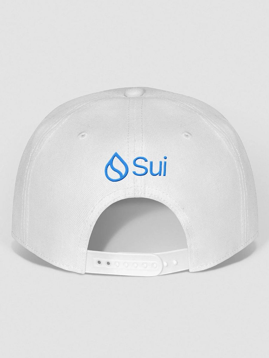 Snap back product image (7)