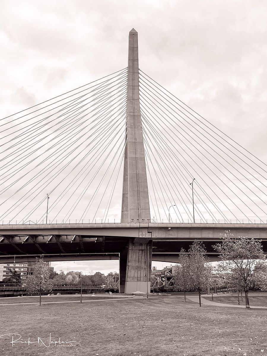 BLACK AND WHITE PHOTOGRAPHY product image (8)