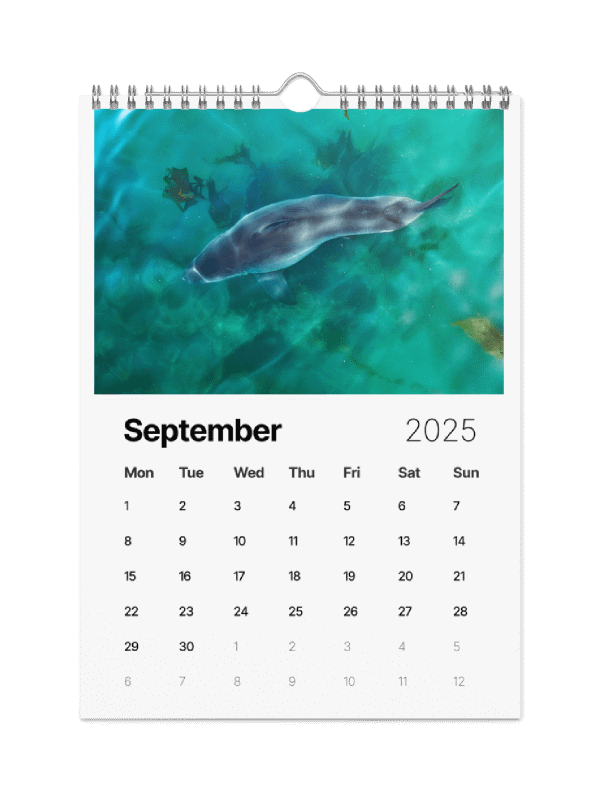 The Malibu Artist 2025 Calendar product image (10)