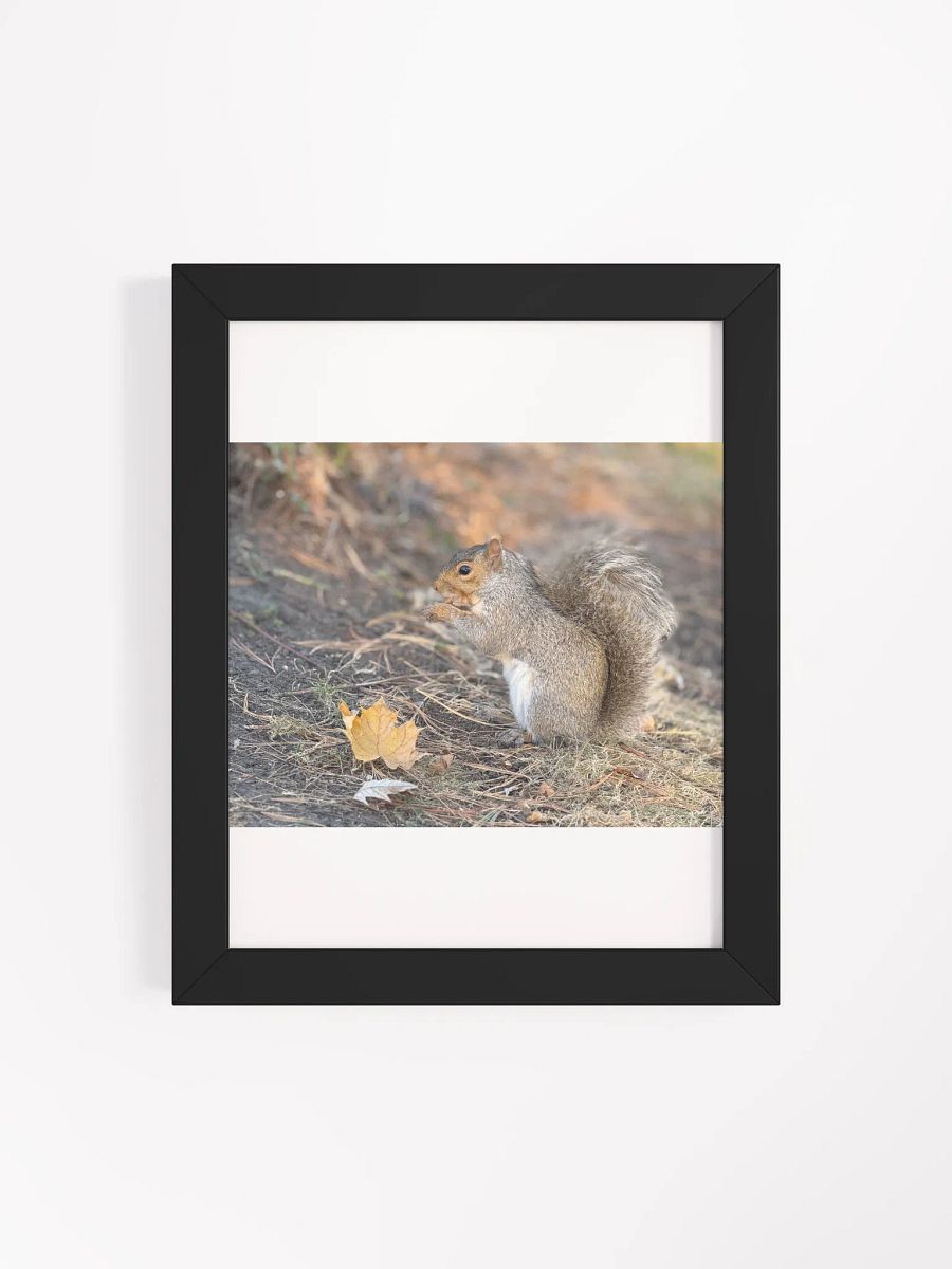 Squirrel print product image (90)