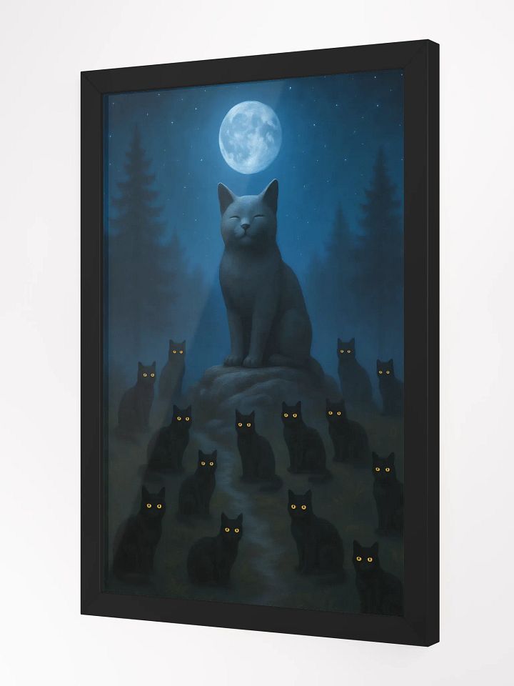 The Midnight Council product image (2)