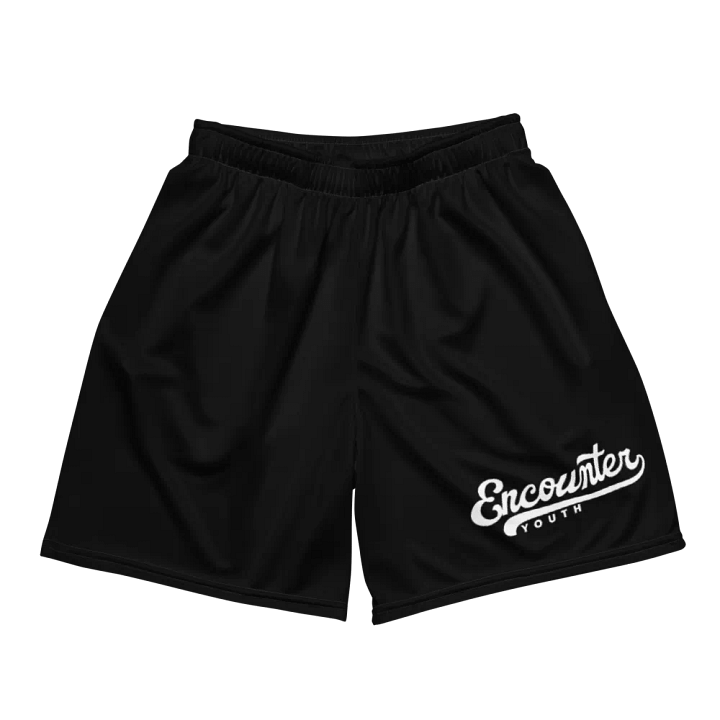 ey mesh shorts product image (1)