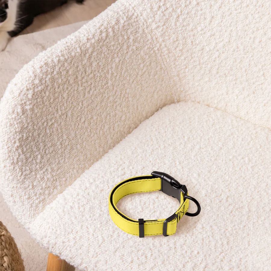 Pet Collar - Yellow Edition product image (5)