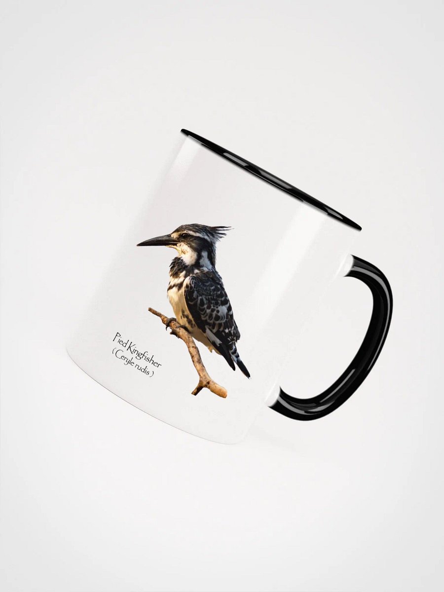 Pied Kingfisher mug product image (34)