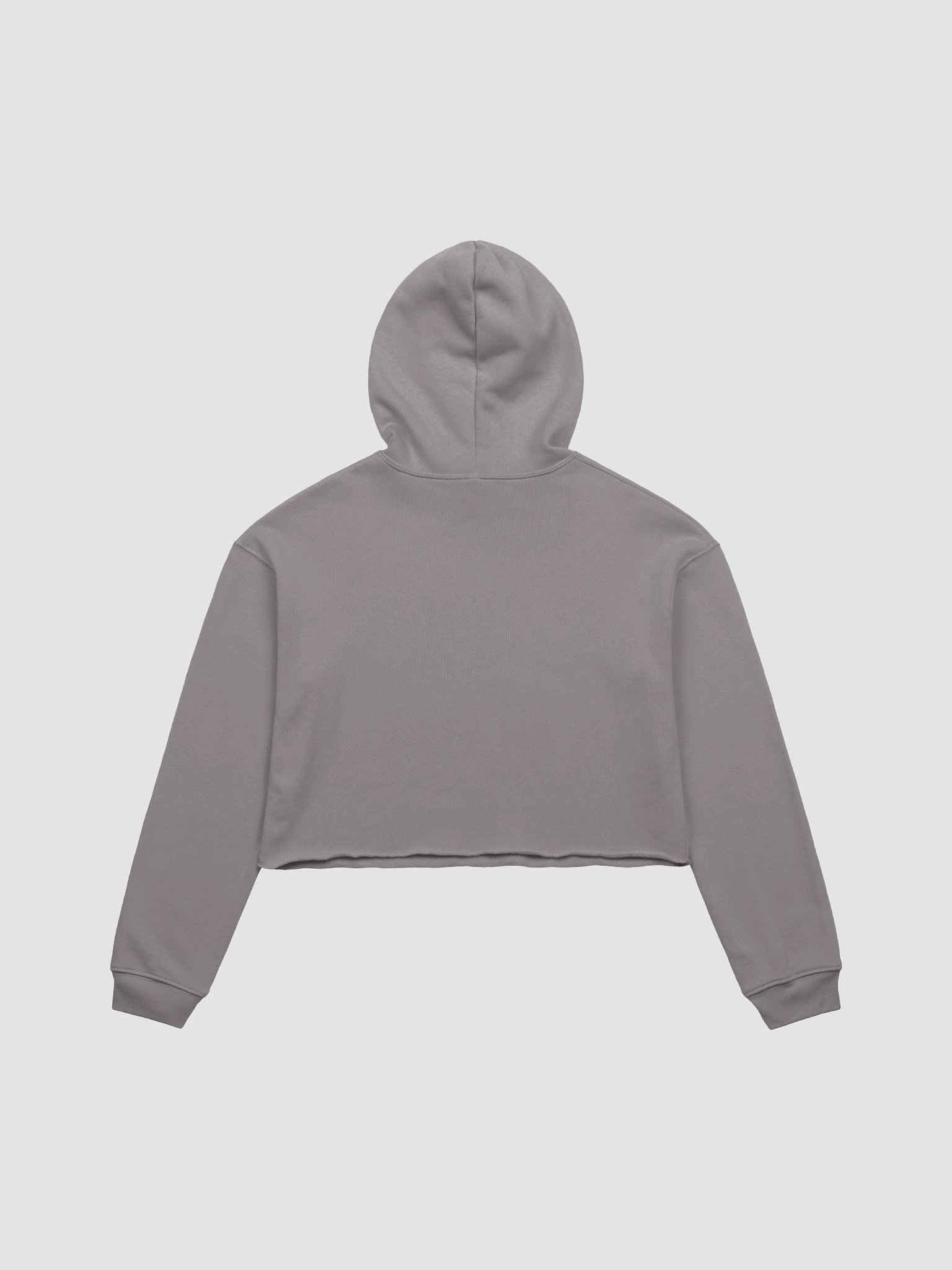 Peeve Orb Badge Fleece Crop Hoodie product image (10)