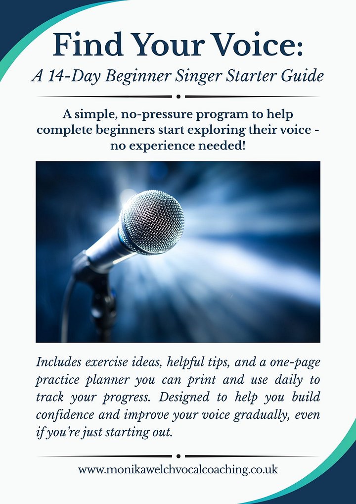 Singing Tips For Beginners + Printable Practice Planner product image (1)