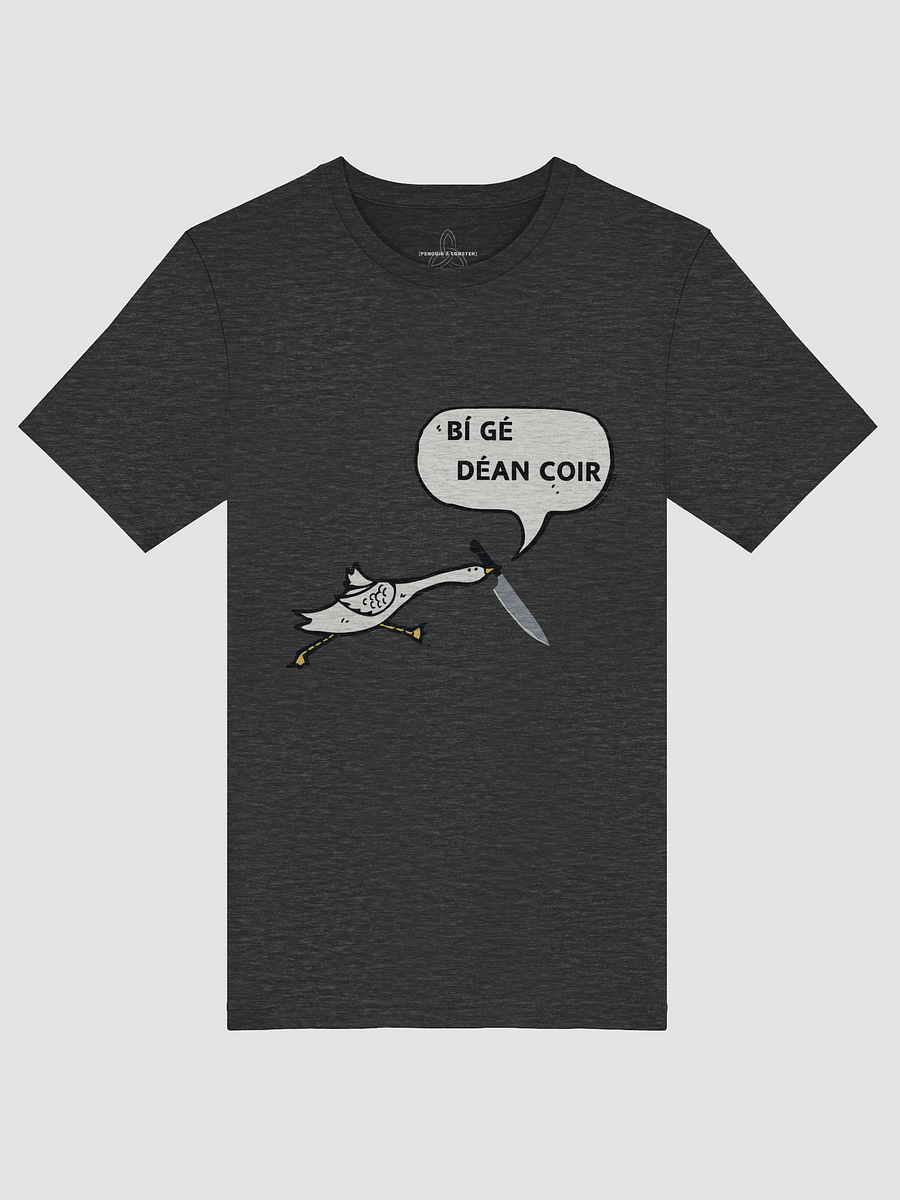 Bí Gé Déan Coir T-shirt product image (3)