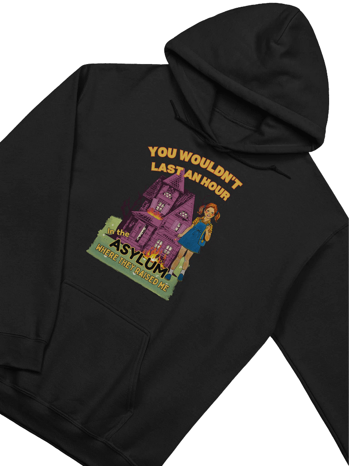 You Would't Last An Hour In The Asylum Where They Raised Me Hoodie product image (2)