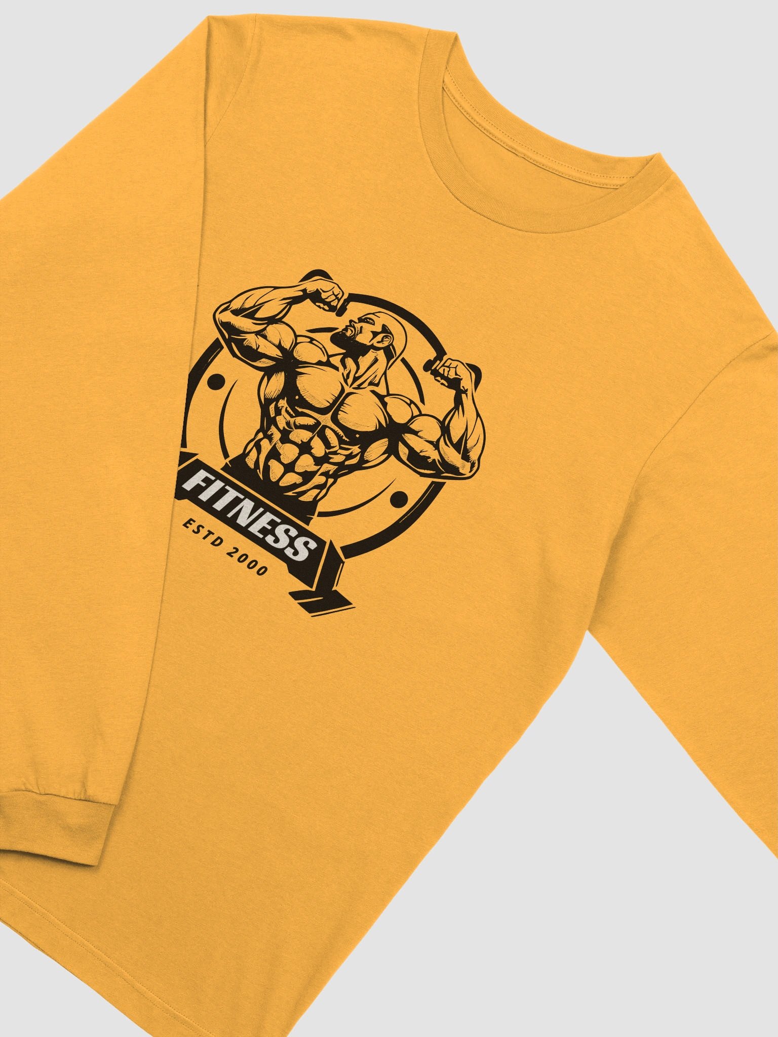 Fitness ESTD 2000 Graphic Long Sleeve T-Shirt product image (2)