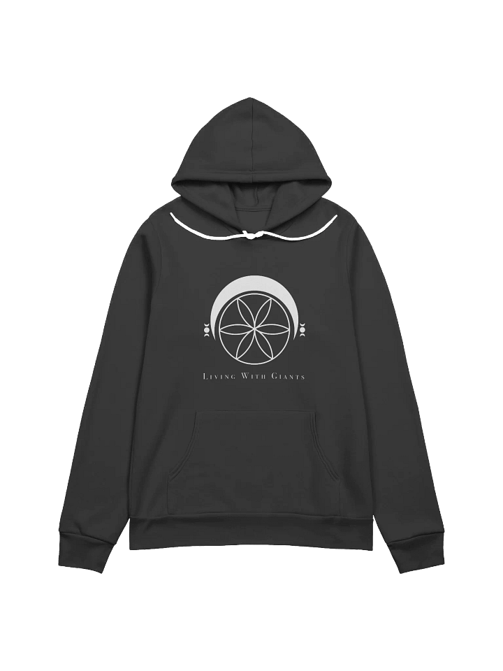 Logo Hoodie product image (1)