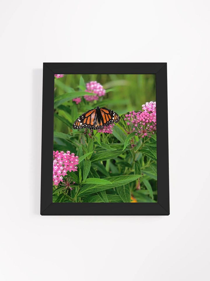 Monarch Butterfly High Quality Matte Poster product image (1)