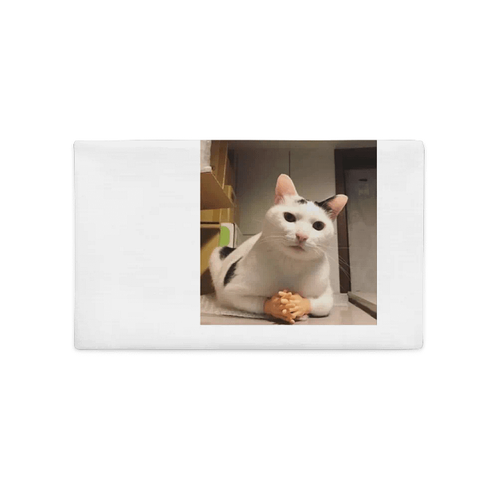 Pawsitively Human Pillow Case product image (2)