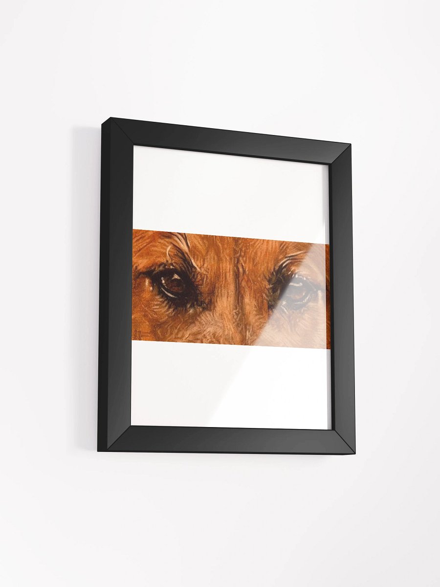 BBlack Mouth Cur Eyes Colored Pencil Framed product image (8)