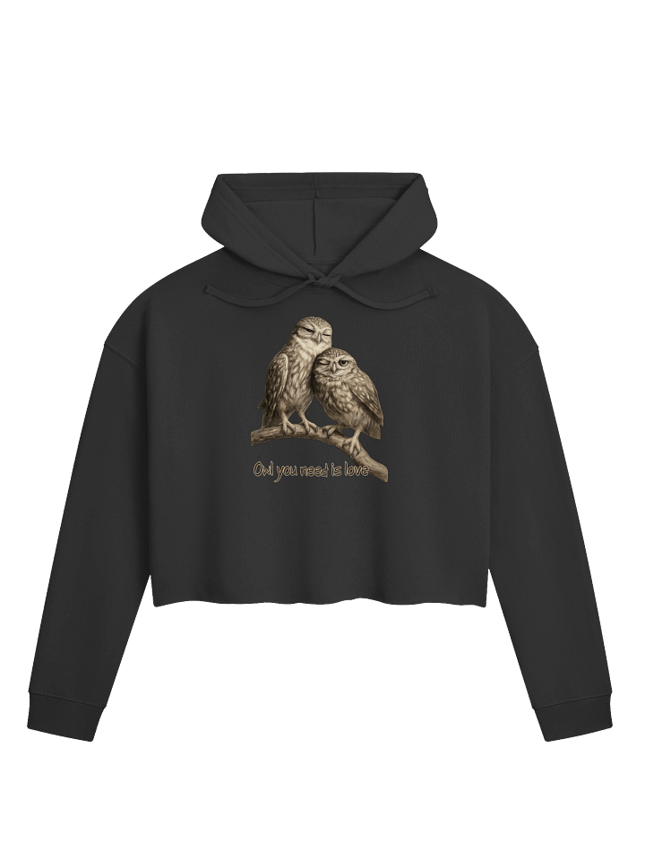 Owl Love Cropped Hoodie product image (1)