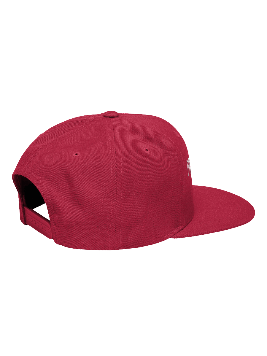 PDKH Embroidered Snapback Unisex white & black stitching product image (2)