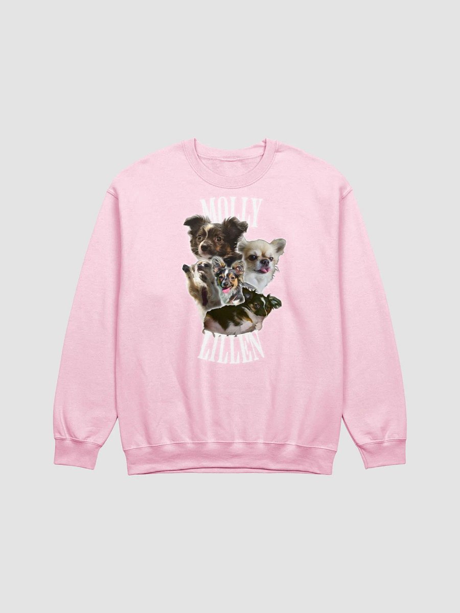 lillios molly sweatshirt product image (3)