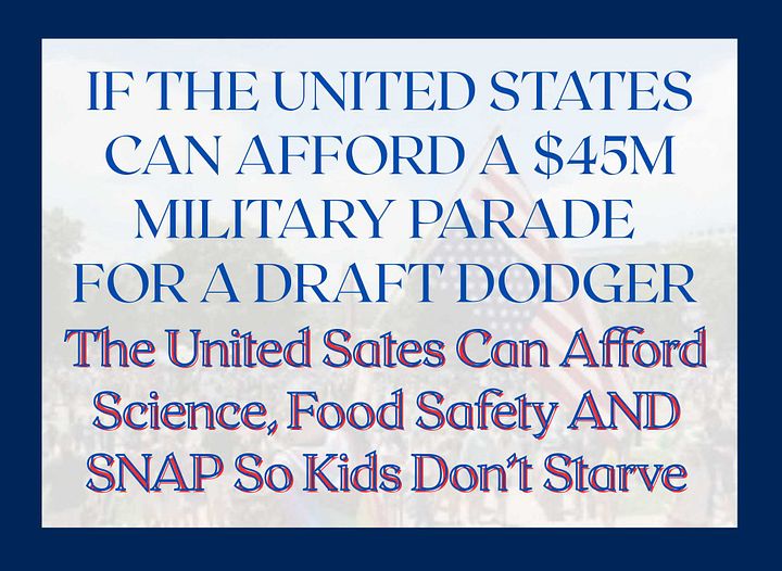 No Kings Day Is Every Day - SNAP vs Parade product image (2)