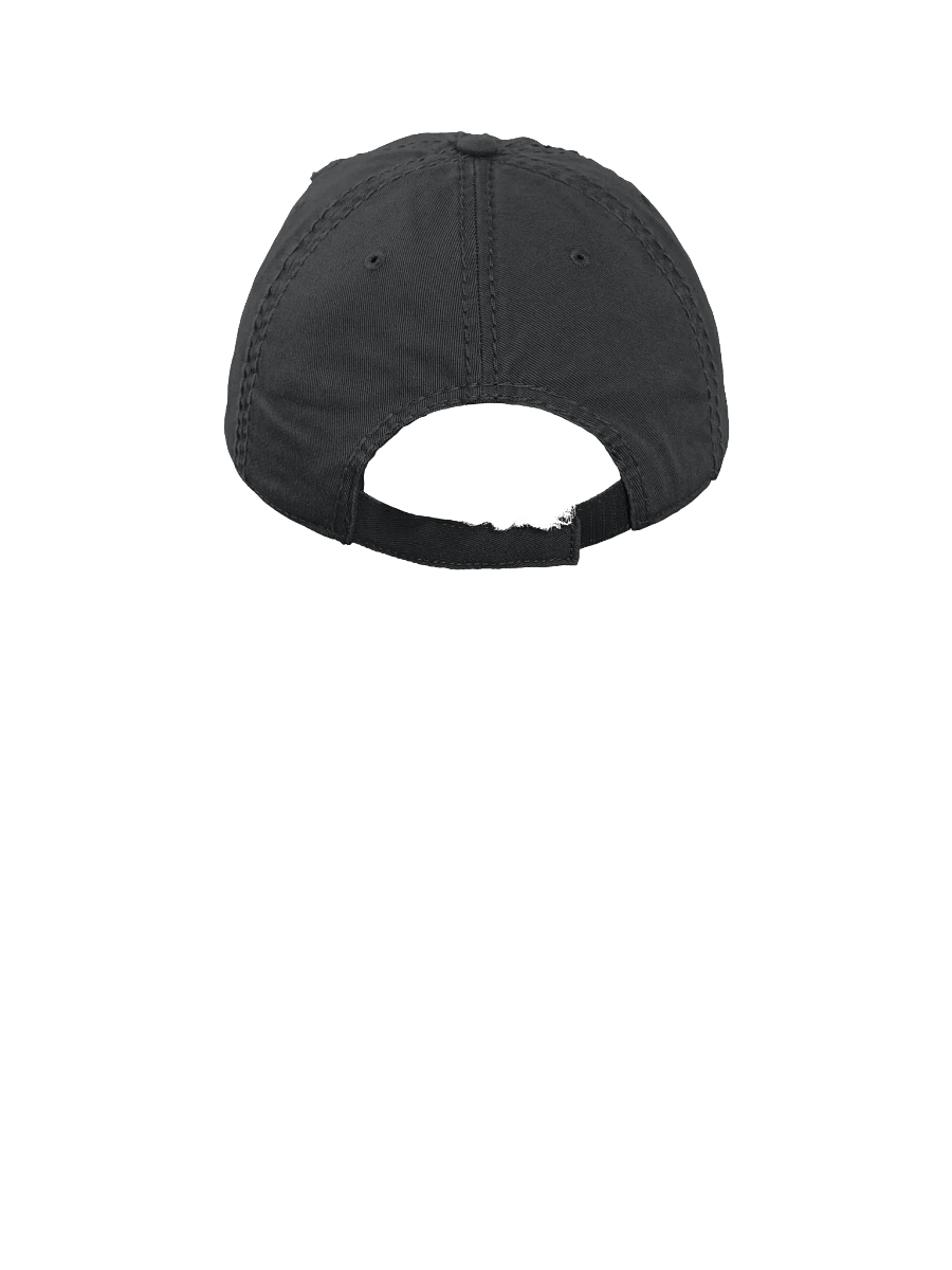 Azhtral Logo Distressed Hat product image (12)