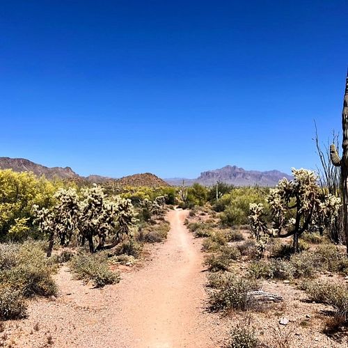 Follow along with us and we’ll take you to places you’ve never seen before
