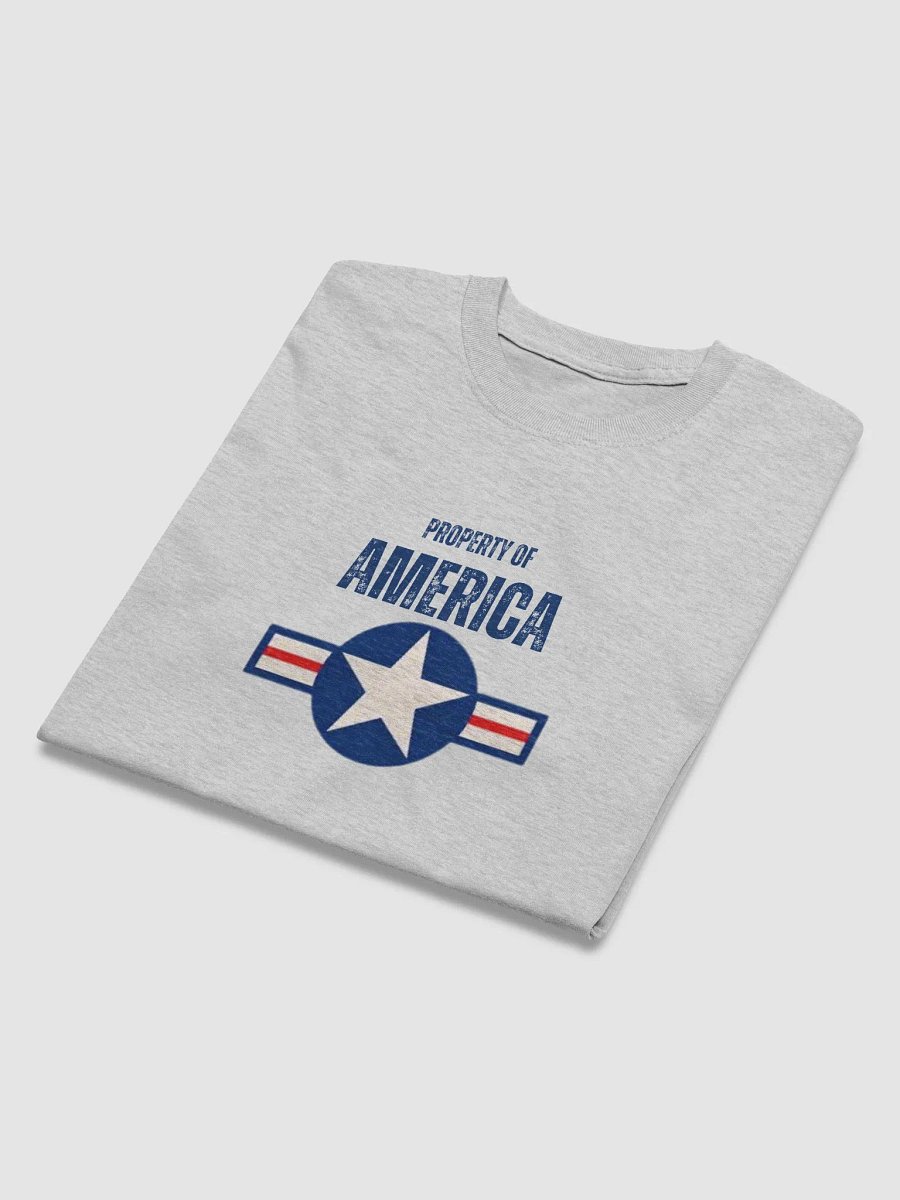 Property of America shirt product image (3)